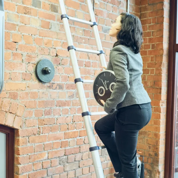 TB Davies XTEND+CLIMB ProSeries S2.0 Telescopic Ladder